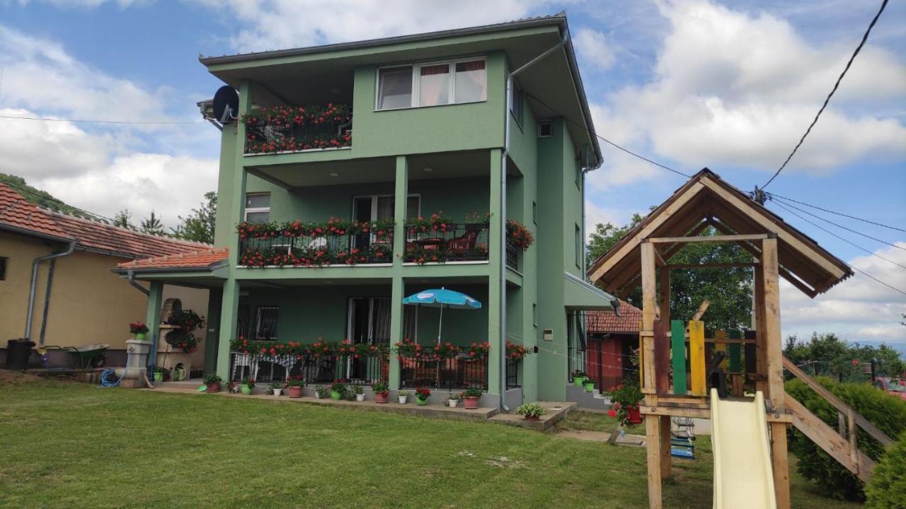 Apartment Pavlovic Soko Banja Exterior photo
