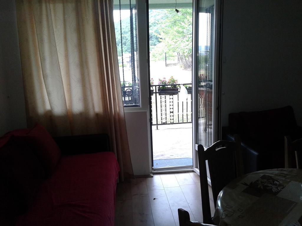 Apartment Pavlovic Soko Banja Exterior photo