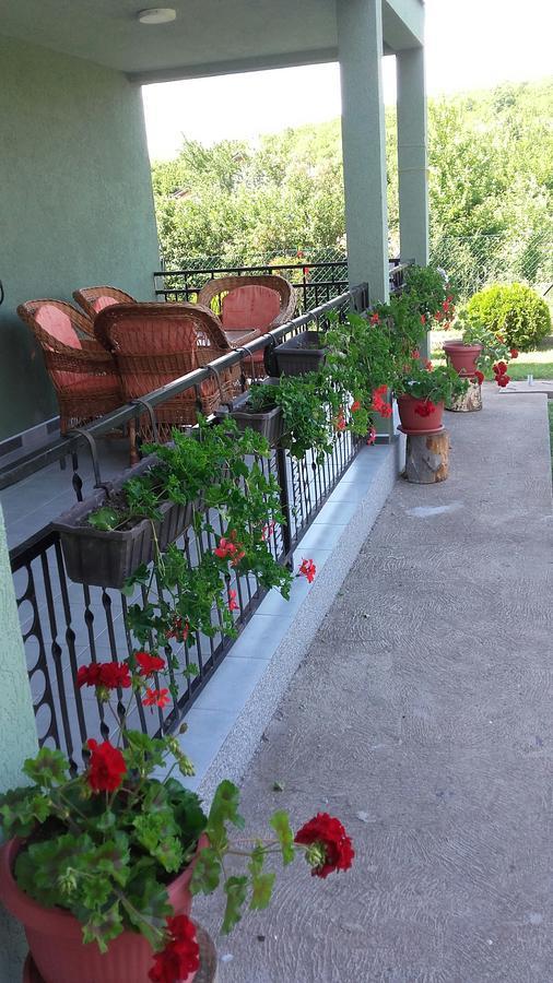 Apartment Pavlovic Soko Banja Exterior photo